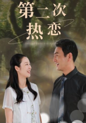 第二次热恋(48集) 第二次热恋(48集)深夜必看热门短剧推荐