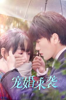 宠婚来袭(102集) 宠婚来袭(102集)精彩古装短剧推荐