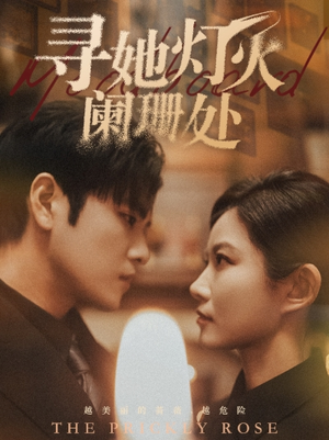 寻她灯火阑珊处(61集) 寻她灯火阑珊处(61集)短剧精选全集无广告