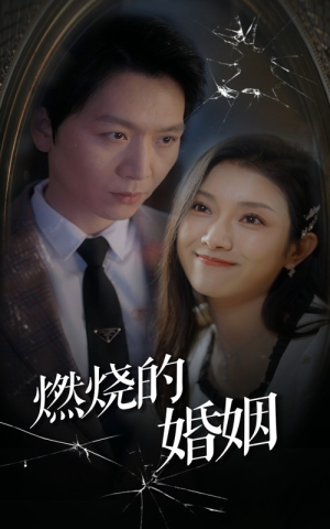 燃烧的婚姻(80集) 燃烧的婚姻(80集)短剧合集导演剪辑版