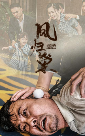 新版:凤归巢(68集) 新版:凤归巢(68集)短剧追到爽越看越好看