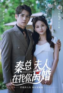 秦总,夫人在找你离婚(79集) 秦总,夫人在找你离婚(79集)热门小说改编短剧