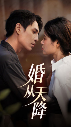 婚从天降(92集) 婚从天降(92集)短剧合集通宵追更版