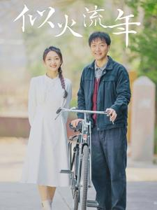 似火流年(100集) 似火流年(100集)好看的短剧又来了