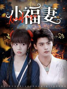小福妻(62集) 小福妻(62集)短剧全集特惠限时看