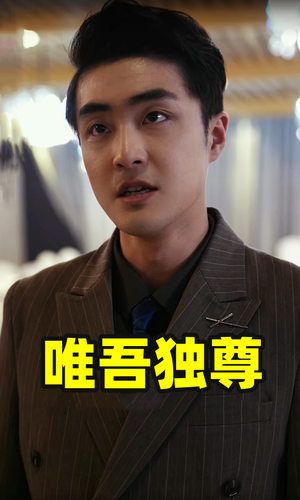 唯吾独尊(96集) 唯吾独尊(96集)万里归乡短剧精彩剧情