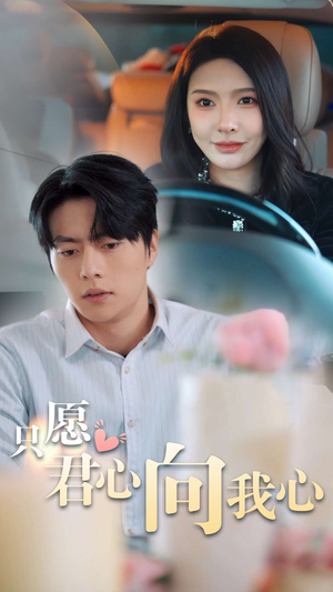 只愿君心向我心（31集）花生短剧热门短剧