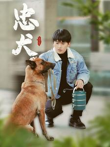 忠犬(34集) 忠犬(34集)新剧来袭热门短剧推荐