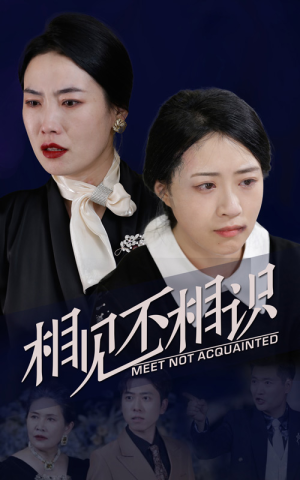 相见不相识(34集) 相见不相识(34集)超火爆短剧抢先看全集