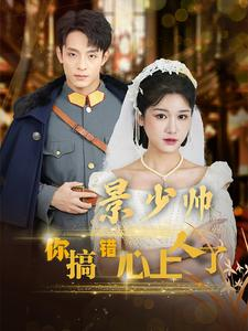 景少帅你搞错心上人了(100集) 景少帅你搞错心上人了(100集)短剧超清全集在线看