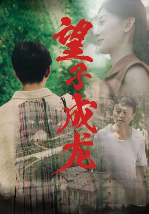 望子成龙(74集) 望子成龙(74集)每日分享不一样的短剧