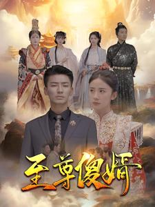 至尊傻婿(82集) 至尊傻婿(82集)超火爆短剧抢先看