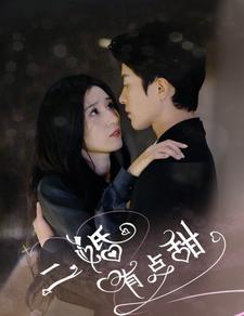 二婚有点甜(88集) 二婚有点甜(88集)热播短剧抢先看大结局