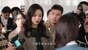 婚姻攻略(16集) 婚姻攻略(16集)好看又上头的热播短剧