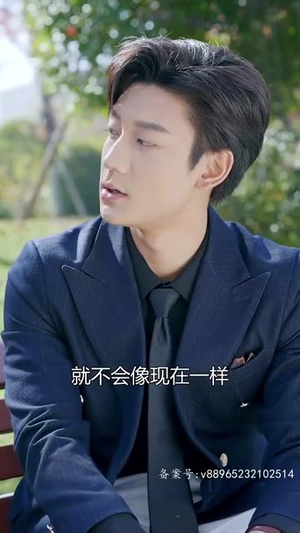相逢却似曾相识(79集) 相逢却似曾相识(79集)短剧合集导演剪辑版