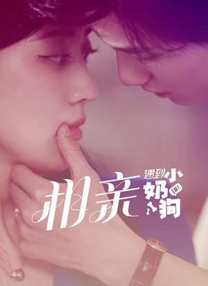 相亲遇到小奶狗(80集) 相亲遇到小奶狗(80集)这个短剧太精彩了
