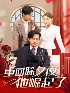 重回除夕夜他崛起了(89集) 重回除夕夜他崛起了(89集)短剧终极大放送合集