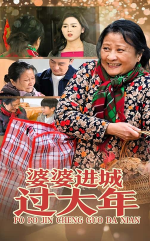 婆婆进城过大年(33集) 婆婆进城过大年(33集)男女都爱看的短剧片段