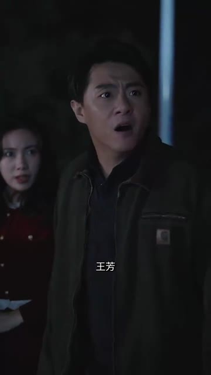 有钱没钱回家过年(35集) 有钱没钱回家过年(35集)短剧完整版全集放送