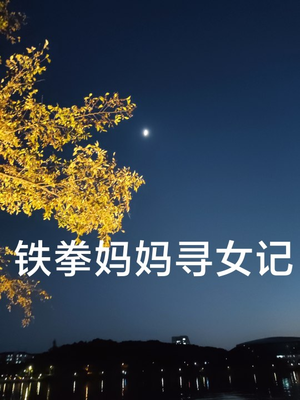 铁拳妈妈寻女记(69集) 铁拳妈妈寻女记(69集)古装重生短剧推荐
