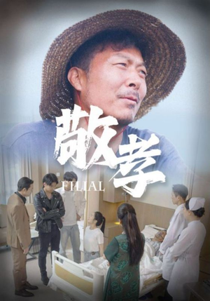 敬孝(61集) 敬孝(61集)火爆短剧正在热播