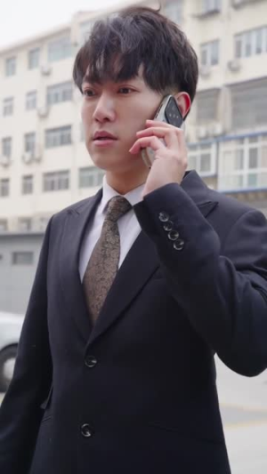 机场爱情故事(暧昧公寓)(100集) 机场爱情故事(暧昧公寓)(100集)短剧合集导演剪辑版