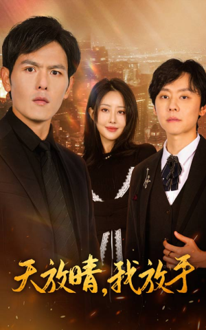 天放晴,我放手(35集) 天放晴,我放手(35集)短剧全剧终限免畅刷