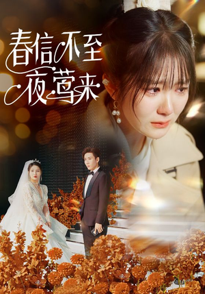 春信不至夜莺来(50集) 春信不至夜莺来(50集)短剧大结局超前点映