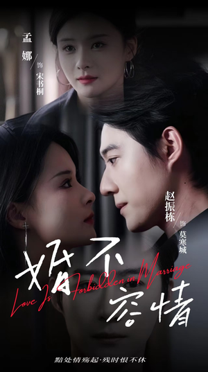 婚不容情(89集) 婚不容情(89集)在红果短剧免费看全集