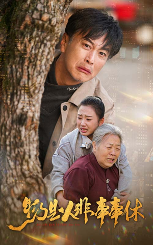 物是人非事事休(41集) 物是人非事事休(41集)短剧合集杜比音效版