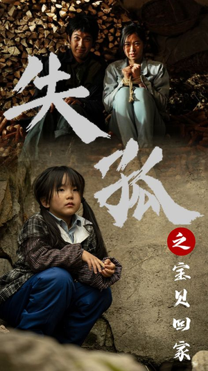 失孤之宝贝回家(71集) 失孤之宝贝回家(71集)最新短剧正在热播