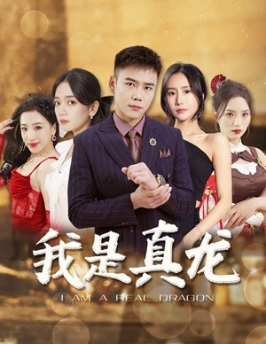 我是真龙(79集) 我是真龙(79集)短剧解说推荐好剧