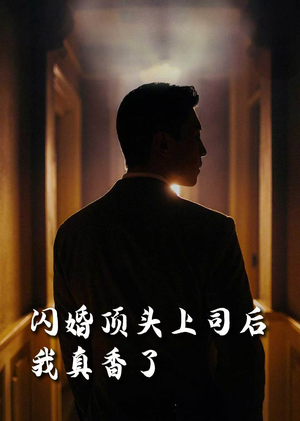 闪婚顶头上司后我真香了(80集) 闪婚顶头上司后我真香了(80集)短剧全季限免大放送