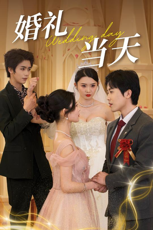 婚礼当天(30集) 婚礼当天(30集)短剧全集秒播无卡顿