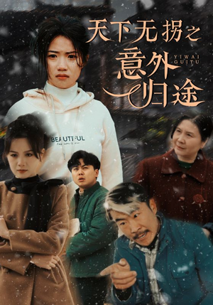 天下无拐之意外归途(61集) 天下无拐之意外归途(61集)万里归乡短剧精彩剧情
