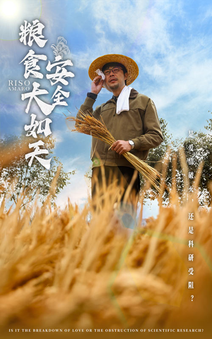 粮食安全大如天(43集) 粮食安全大如天(43集) 每天分享不一样的短剧