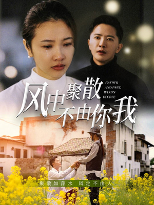 风中聚散不由你我(41集) 风中聚散不由你我(41集)短剧收官全集限免看