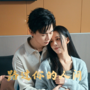 路过你的人间(31集) 路过你的人间(31集)短剧全集无删完整版