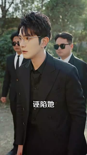 且停且忘且随风(35集) 且停且忘且随风(35集)短剧终章免费大放送