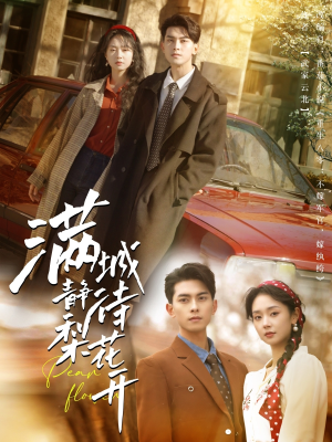 满城静待梨花开(100集) 满城静待梨花开(100集)短剧点击左下角看全集