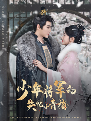 少年将军的失忆小青梅(100集) 少年将军的失忆小青梅(100集)好看的短剧同大家分享