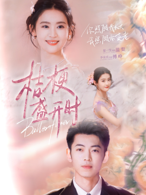 她的小桔梗(92集) 她的小桔梗(92集)好看剧情短剧推荐分享