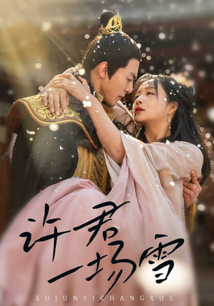 许君一场雪(43集) 许君一场雪(43集)短剧太好看了女主霸气