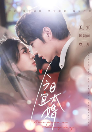 今日宜大婚(59集) 今日宜大婚(59集)爆火短剧超级精彩