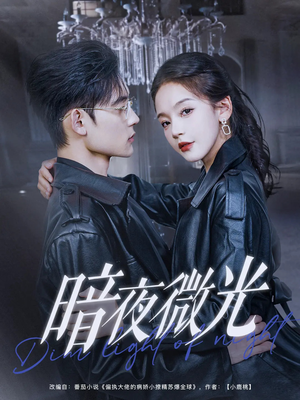 暗夜微光(86集) 暗夜微光(86集)超火爆短剧抢先看