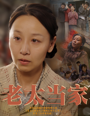 老太当家(60集) 老太当家(60集)短剧精选全集无广告