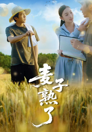 麦子熟了(52集) 麦子熟了(52集)热播短剧精彩片段