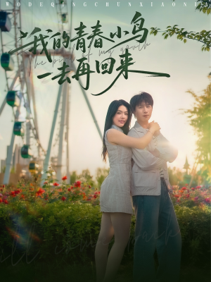 我的青春小鸟一去再回来(95集) 我的青春小鸟一去再回来(95集)好看又上头的短剧来了