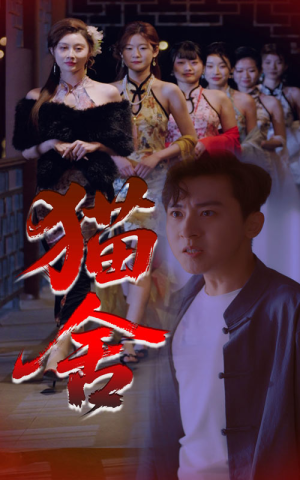 猫舍(34集) 猫舍(34集)短剧经典全集任你选
