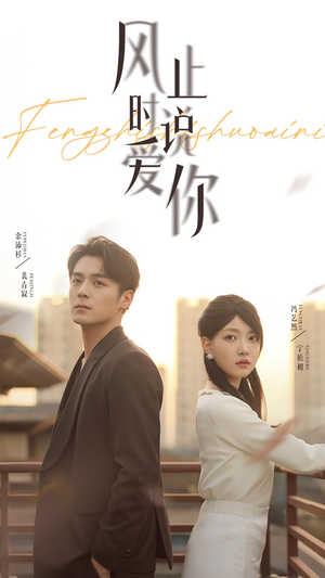 风止时说爱你(70集) 风止时说爱你(70集)短剧合集导演剪辑版